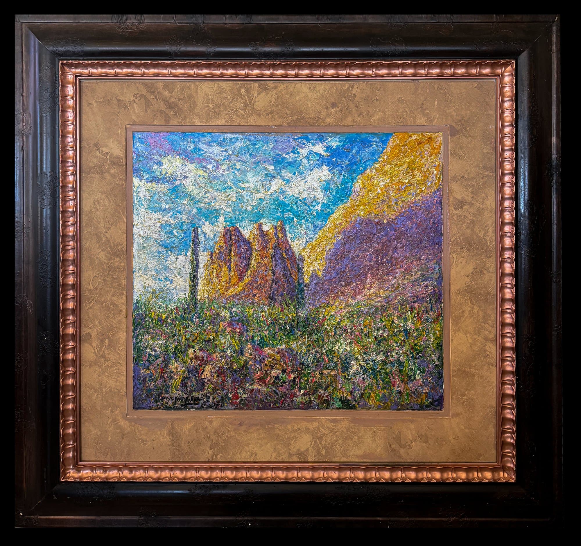 Sonoran Sentinel